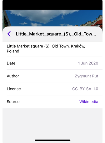 iOS - عرض التفاصيل