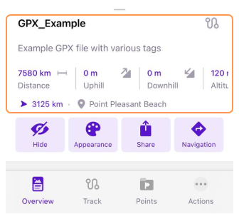 Painel de informações visão geral iOS